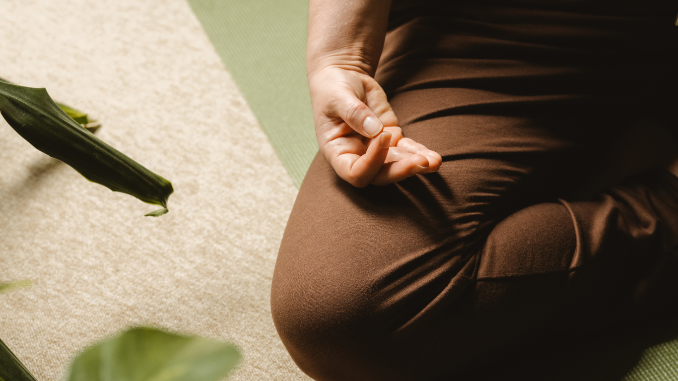 Mehr über den Artikel erfahren Workshop für Yoga-AnfängerInnen