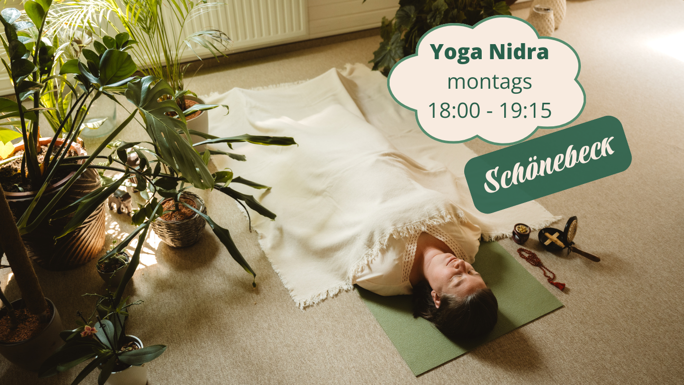 Mehr über den Artikel erfahren Hatha Yoga für Anfänger & Wiedereinsteiger in Schönebeck