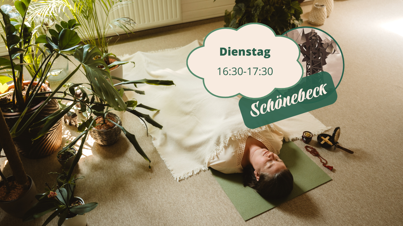 Mehr über den Artikel erfahren Hatha Yoga für Anfänger & Wiedereinsteiger in Schönebeck