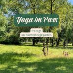 Yoga im Park