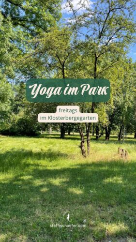Yoga im Park