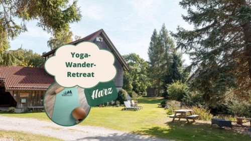Yoga auf einer Wiese am Forsthaus im Harz.
